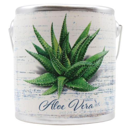 Farm Fresh svka Aloe Vera 567 g